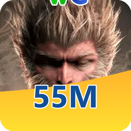 Formulário de Registro 55m