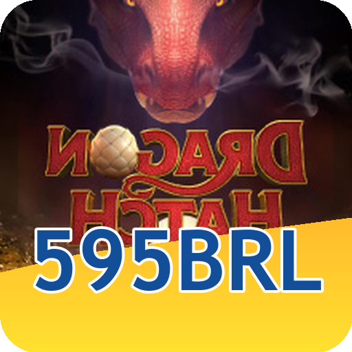 Formulário de Registro 595brl