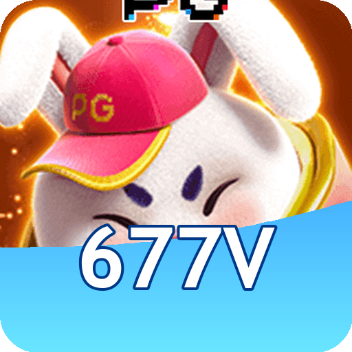 Formulário de Registro 677v
