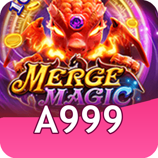 Formulário de Registro a999
