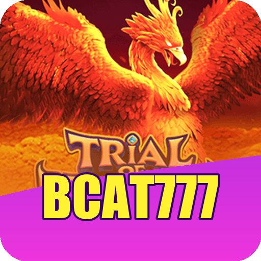 Verificação KYC bcat777