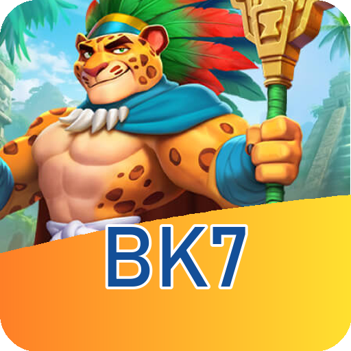 Verificação KYC bk7