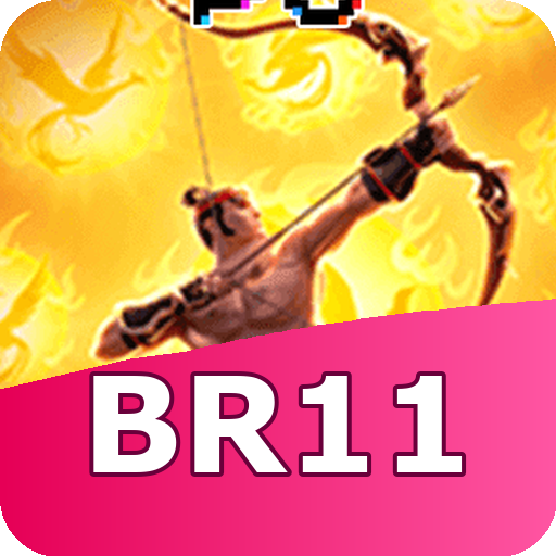 Formulário de Registro br11