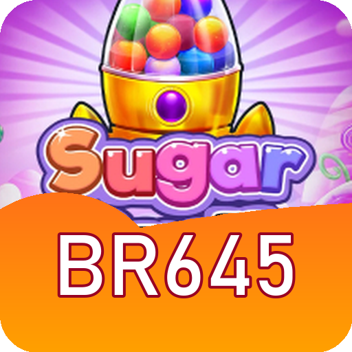 Formulário de Registro br645