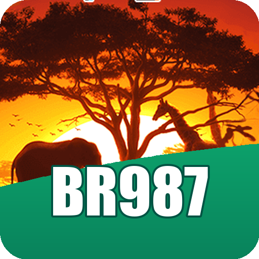 Formulário de Registro br987