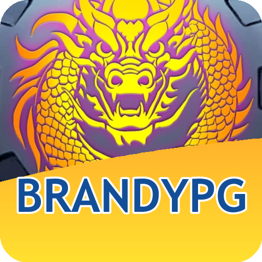 Verificação KYC brandypg