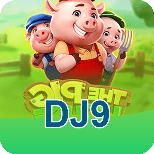 Formulário de Registro dj9