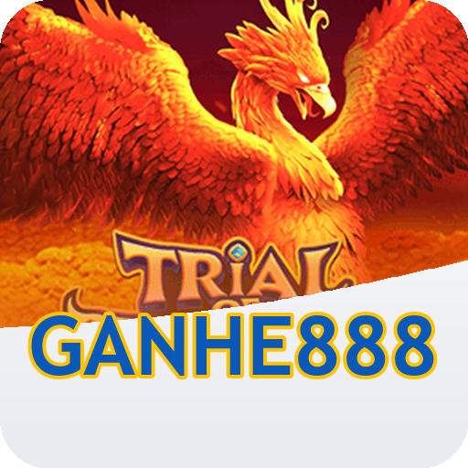 Torneio Semanal