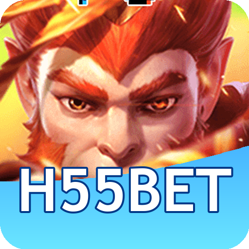Verificação KYC h55bet