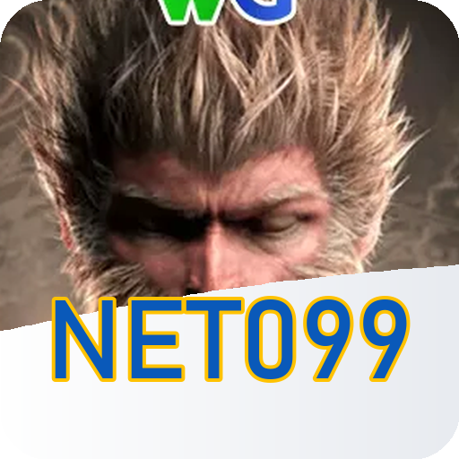 Formulário de Registro net099