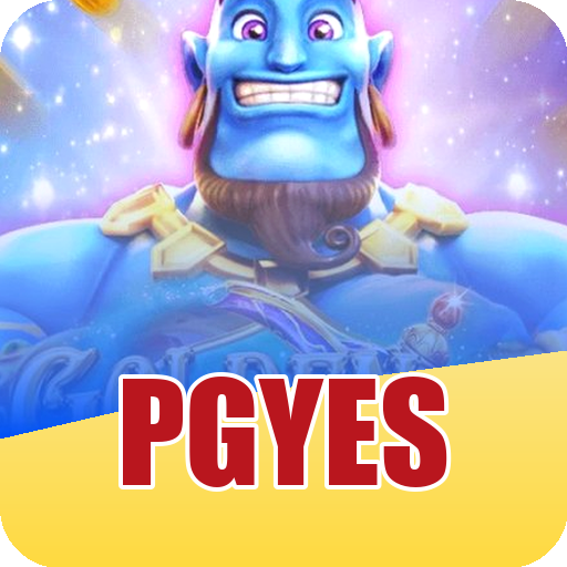 Verificação KYC pgyes