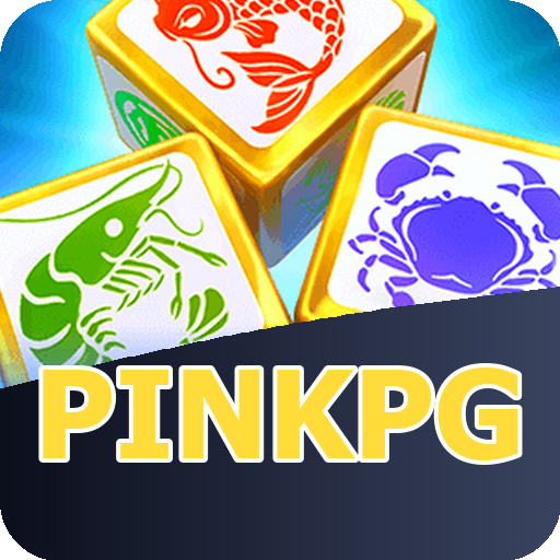 Verificação KYC pinkpg
