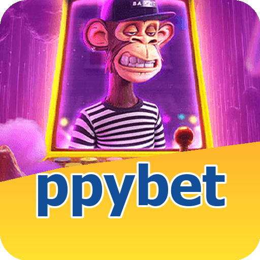 Verificação KYC ppybet