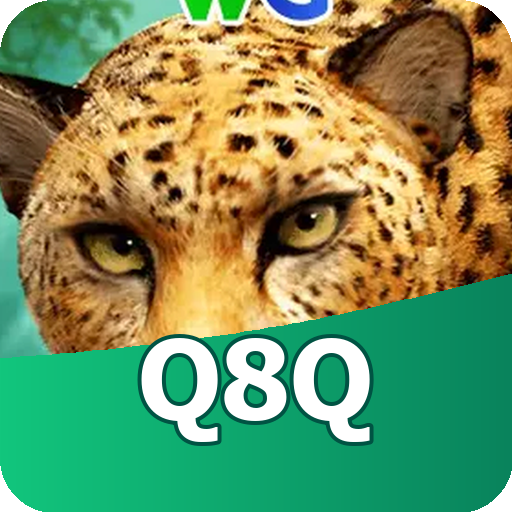 Mega Ball ao Vivo - Bingo + Loteria
