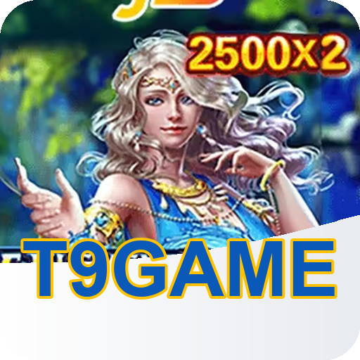 Verificação KYC t9game