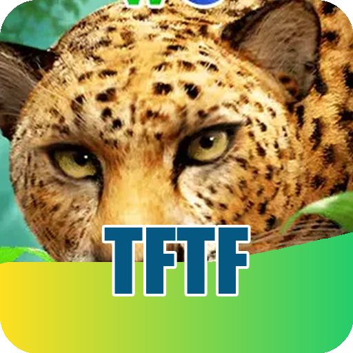 Fortune Rabbit Slot - RTP 97.1%