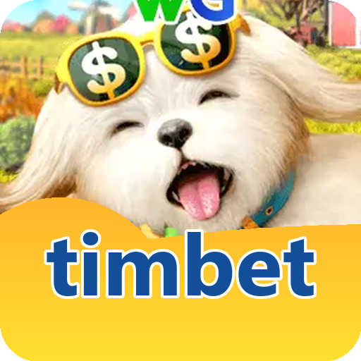 Verificação KYC timbet