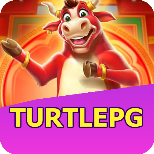 Verificação KYC turtlepg