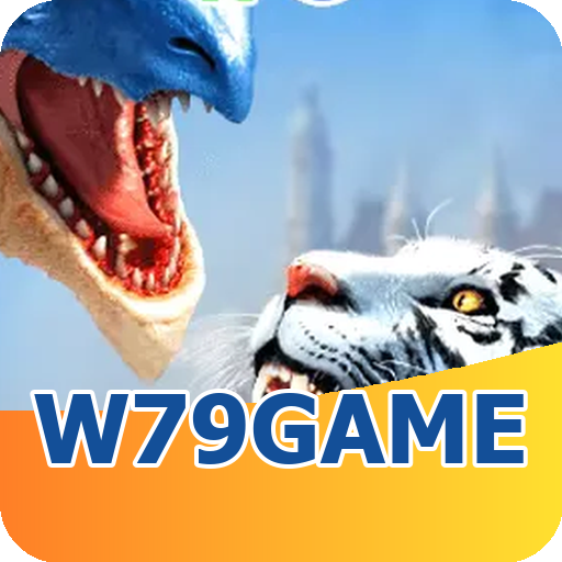 Verificação KYC w79game