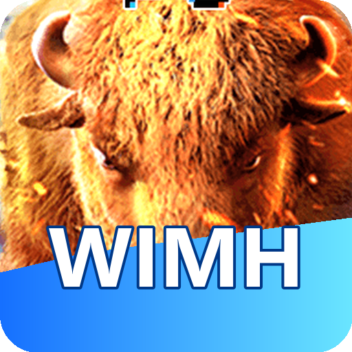 Verificação KYC wimh