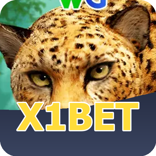 Verificação KYC x1bet
