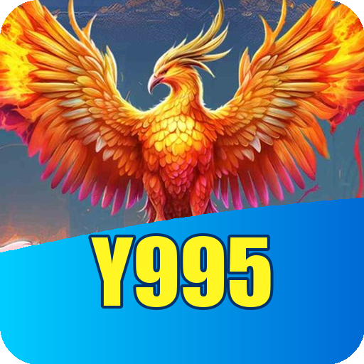 Verificação KYC y995